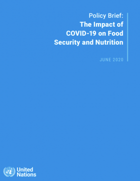policy brief on food security and nutrition